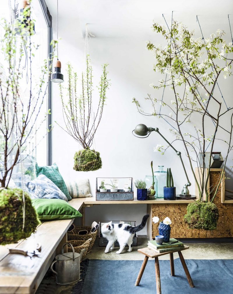 coin de salon lumineux avec des plantes suspendues au plafond