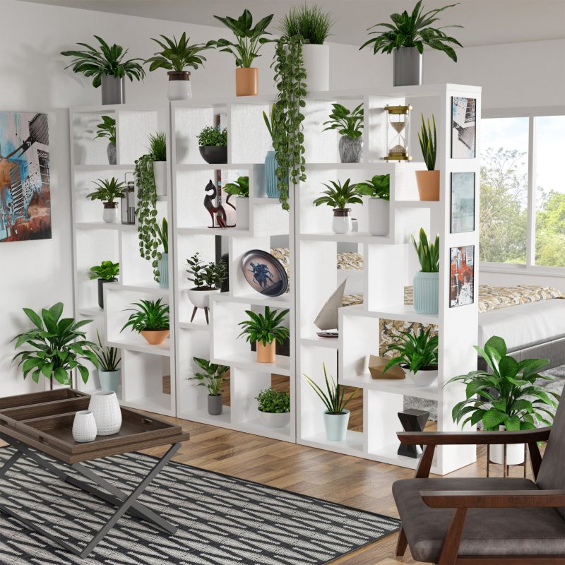 séparation entre chambre et salon avec étagères portant des plantes vertes