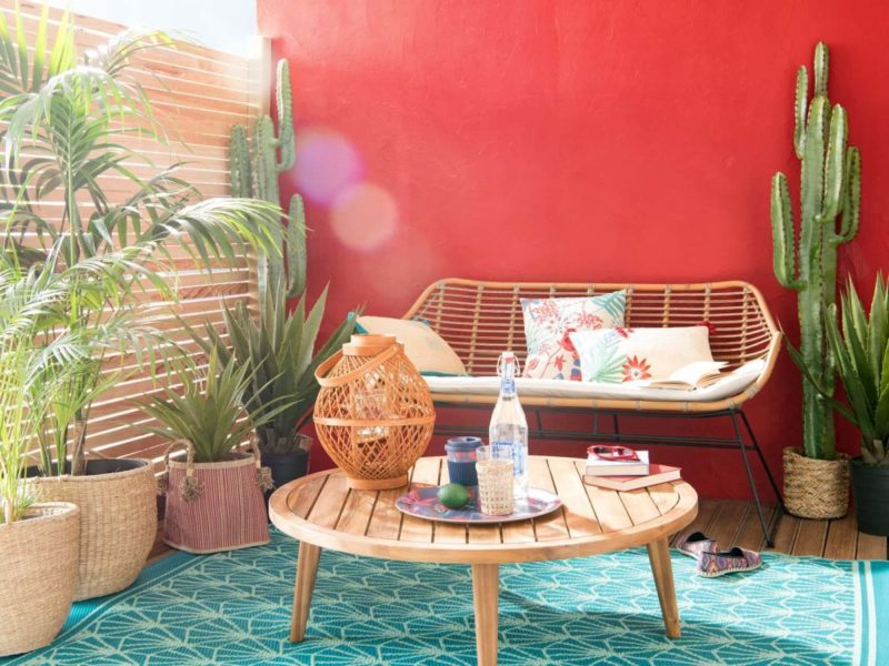 un terrasse en déco été avec mur peint en rouge et palmiers et cactus